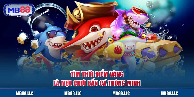 Tìm thời điểm vàng là mẹo chơi bắn cá thông minh
